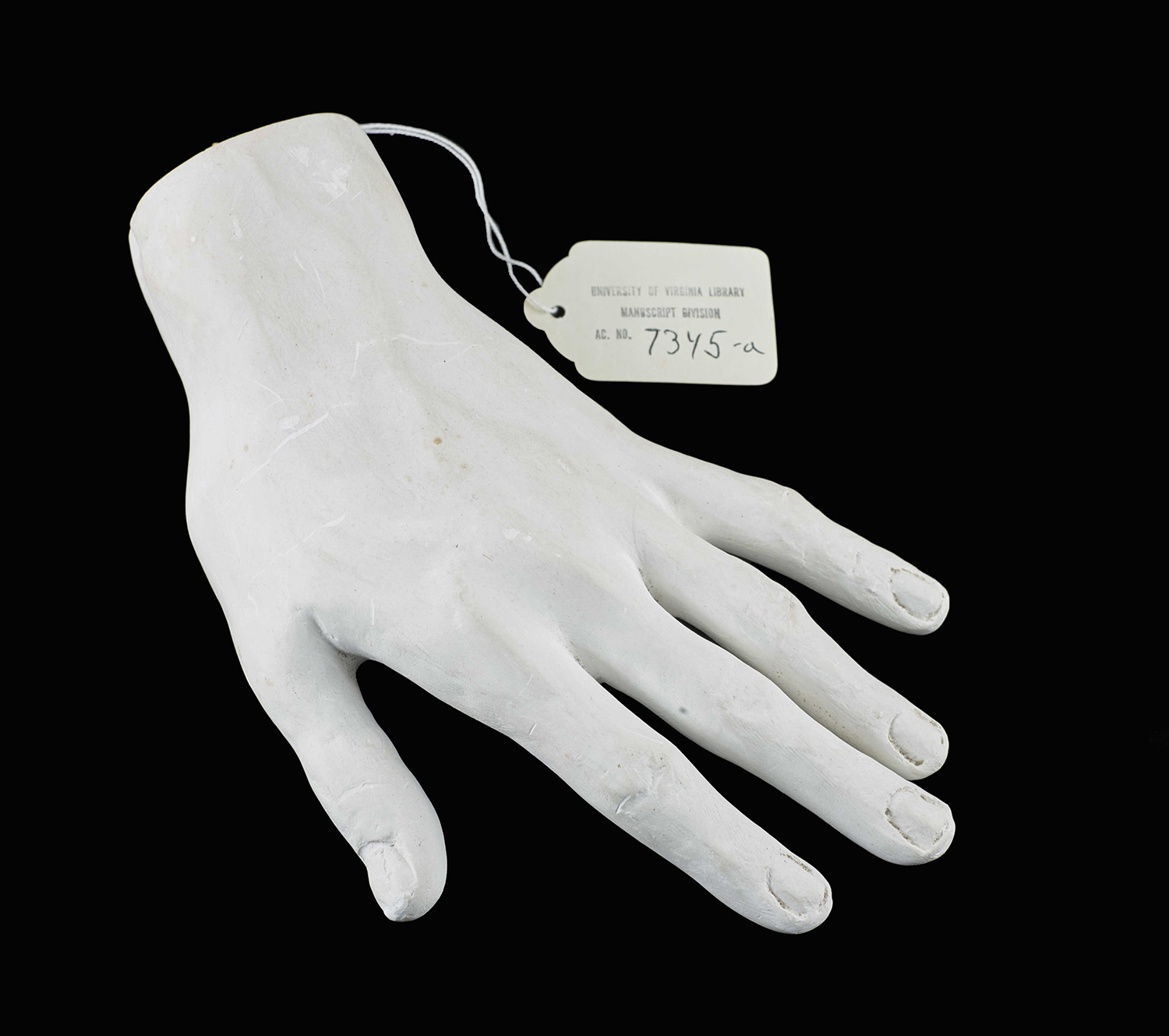 A plaster hand with paper tag labeled 7345-a.