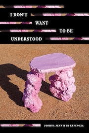 Book cover for "I Don't Want to Be Understood" by Joshua Jennifer Espinoza, featuring a purple foam formation resembling a table, set against a sandy background.