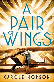 Book cover of "A Pair of Wings" by Carole Hopson featuring an old-fashioned airplane under a stylized sunburst pattern.