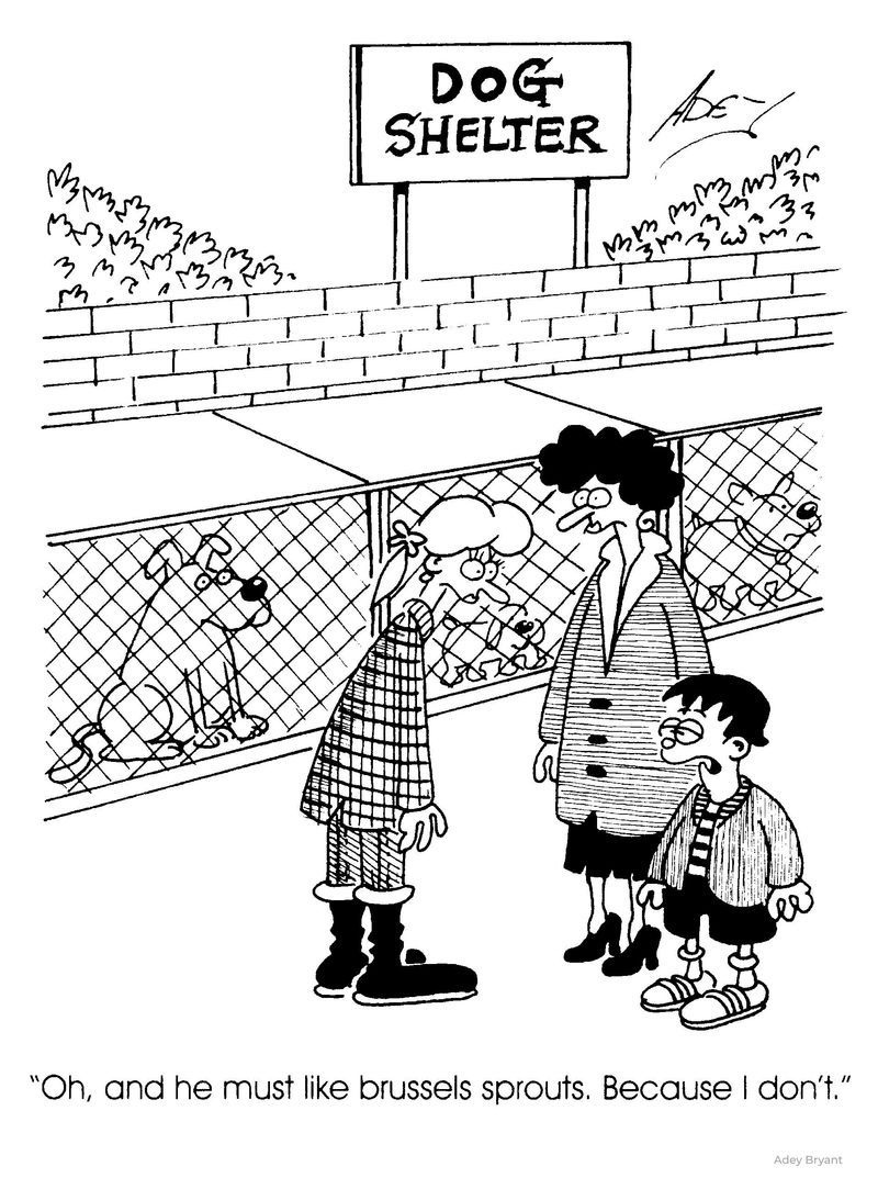 A cartoon showing two people and a child standing in front of a dog shelter. Three dogs are visible behind the fence, with one looking at the visitors. A sign above reads "DOG SHELTER." The caption below the image says, "Oh, and he must like brussels sprouts. Because I don’t."