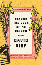 Cover image for "Beyond the Door"