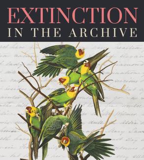 Extinction in the Archive