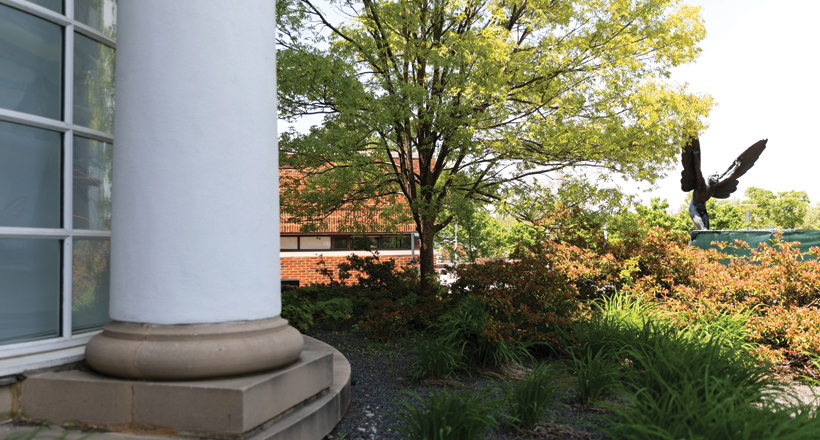 Outdoor photo of Aviator statue in summertime