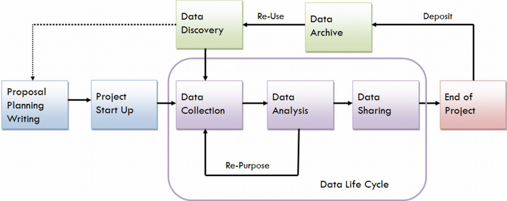 Data Life Cycle chart showing discovery, planning, start-up, collection, analysis, sharing, archiving, and end of project