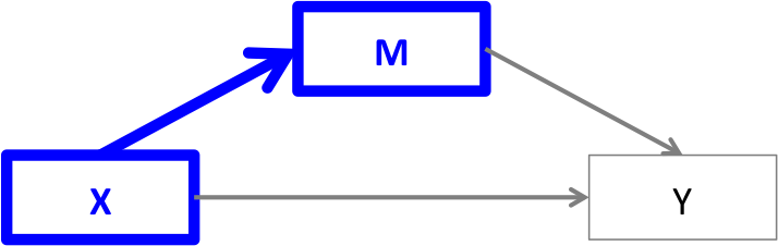 Arrows pointing from X to M and X to Y, and arrow pointing from M to Y. X to M path highlighted in blue.
